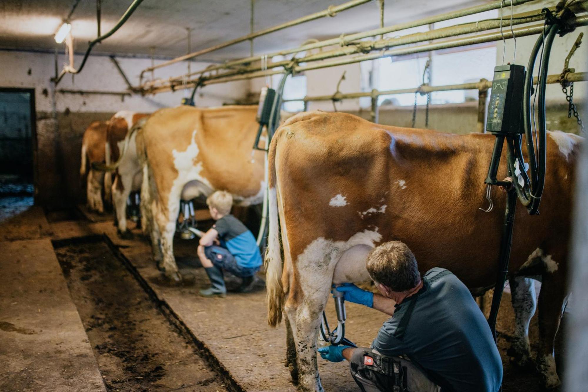 Bio-Bergbauernhof Weger Leilighet Dellach  Eksteriør bilde